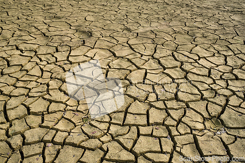 Image of Cracked dry earth with cracks texture