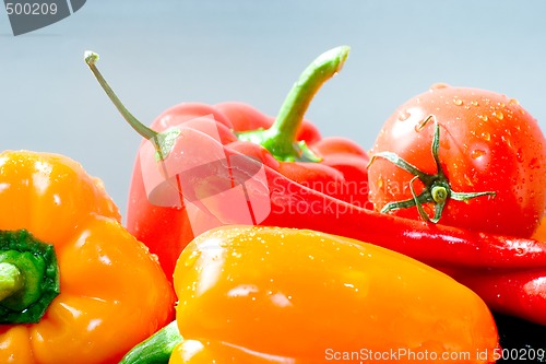 Image of Fresh Vegetables