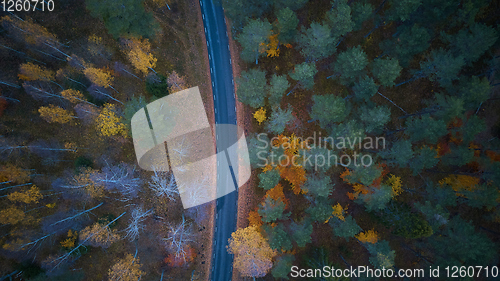 Image of Road in the colored autumn forest aerial view