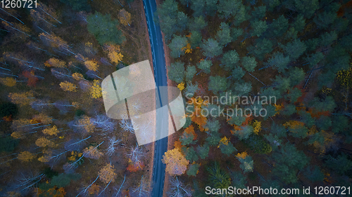 Image of Road in the colored autumn forest aerial view.