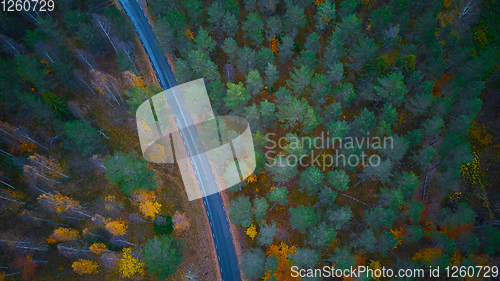 Image of Road in the colored autumn forest aerial view.