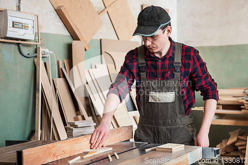Image of Carpenter worker cutting wooden board