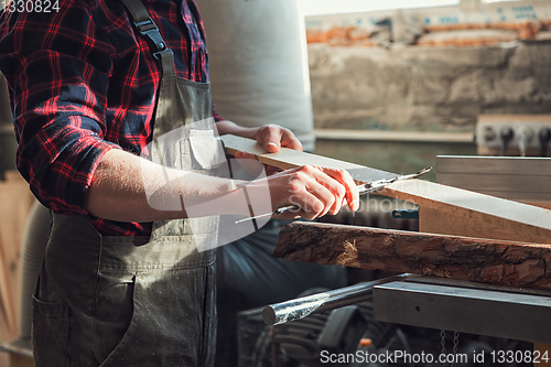 Image of Carpenter worker cutting wooden board