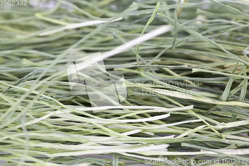 Image of dried long green grass