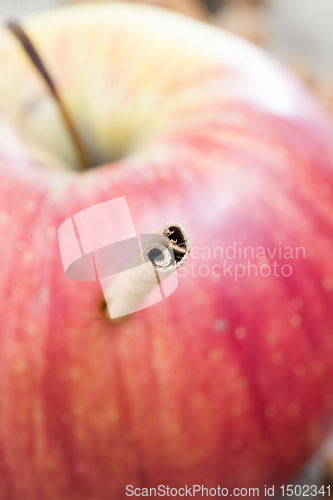 Image of red ripe and juicy Apple