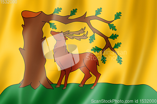 Image of Berkshire County flag, UK