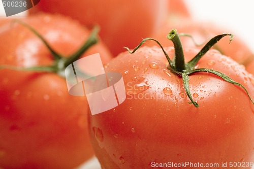 Image of Tomatos