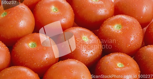 Image of Tomatos