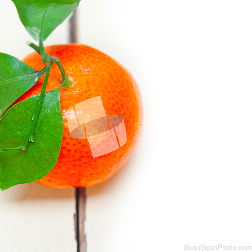 Image of tangerine mandarin orange on white table