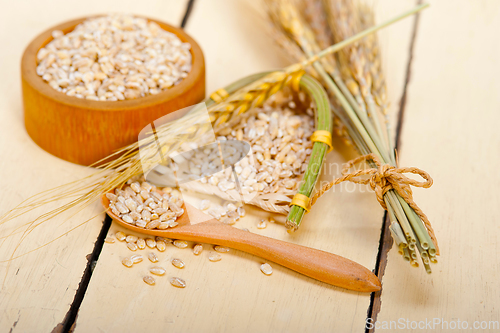 Image of organic barley grains