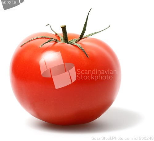 Image of Tomato