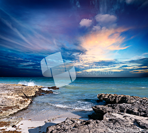 Image of Waves breaking againt rocky coast