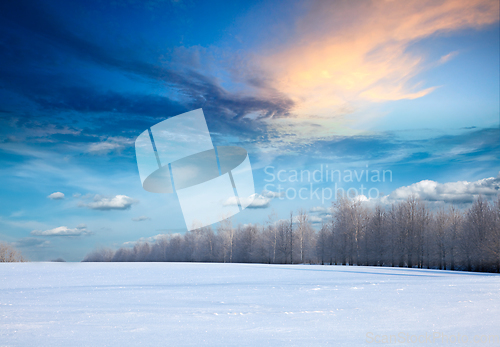 Image of Winter landscape