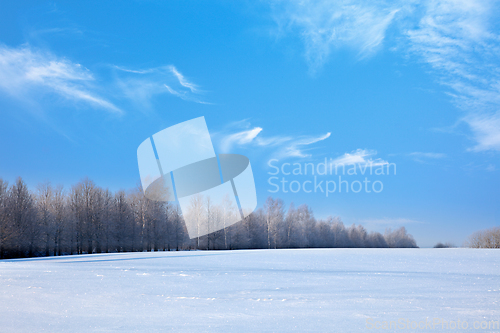 Image of Winter landscape