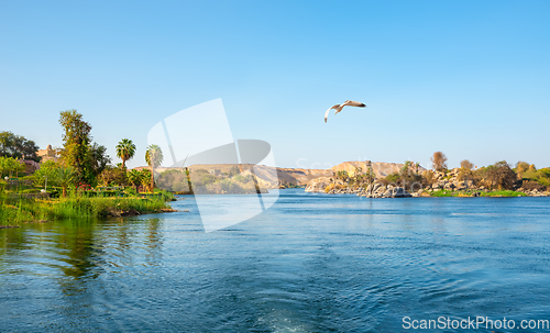 Image of Panorama river Nile  at sunset