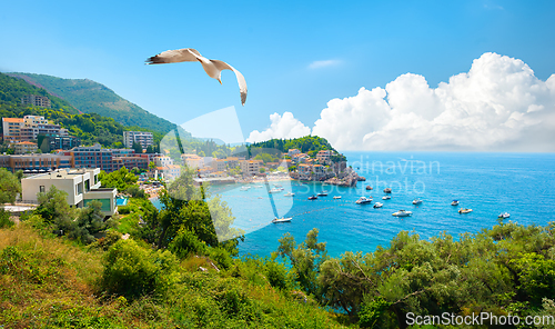 Image of Panoramic landscape of Budva