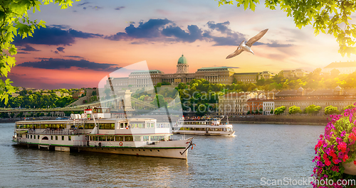 Image of Pleasure boat in Budapest