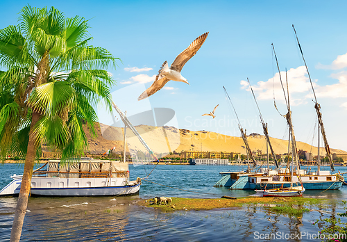 Image of Port in Aswan