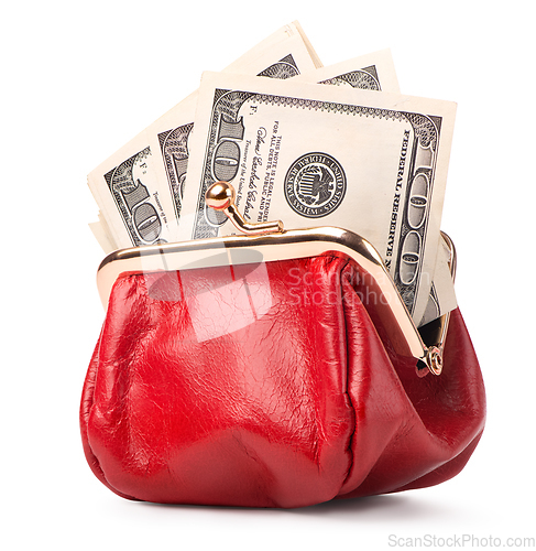 Image of Purse and paper dollars