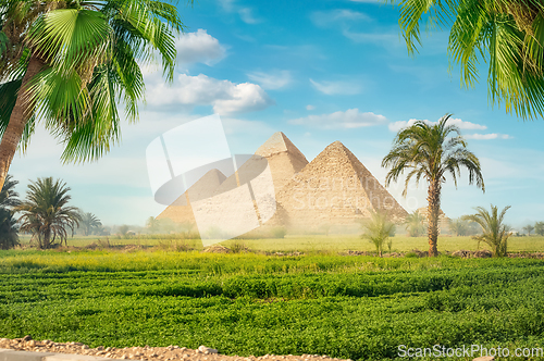 Image of Pyramids in a green field