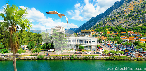 Image of River in Kotor