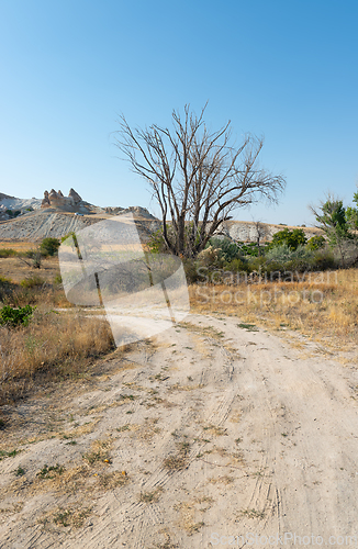 Image of Road in Love Valley