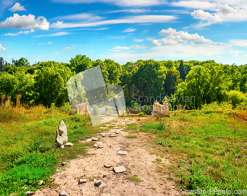 Image of Road in field at sunny day