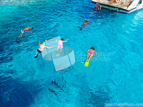 Image of Snorkeling in Red Sea , Egypt 