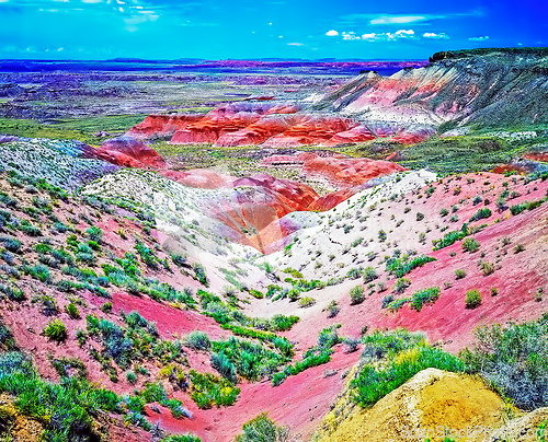 Image of Painted Desert