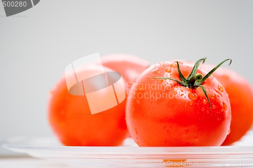 Image of Fresh Tomatos