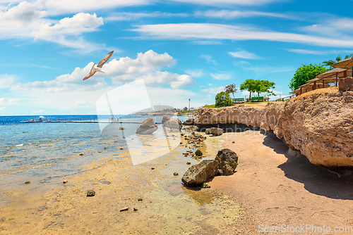 Image of Rocky coast by sea