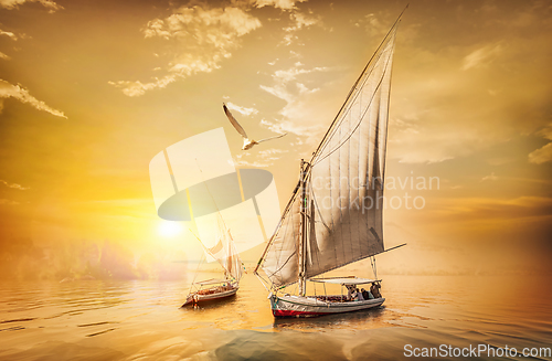 Image of Sailboats at sunset