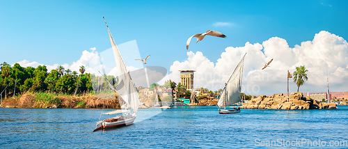 Image of Sailing on Nile