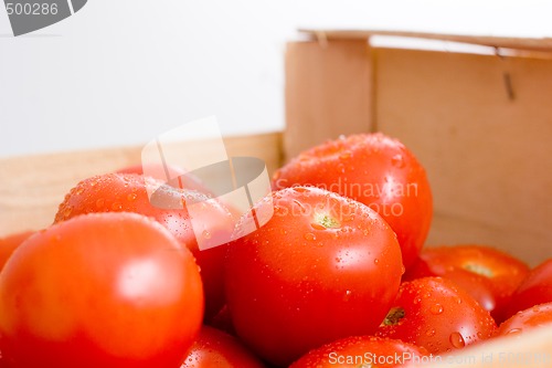 Image of Tomatos