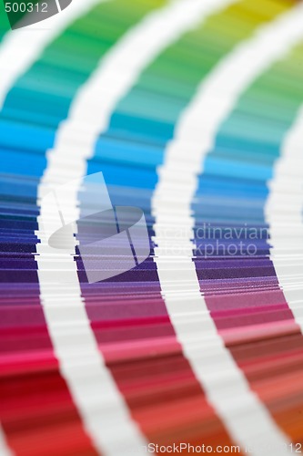 Image of CMYK Swatches