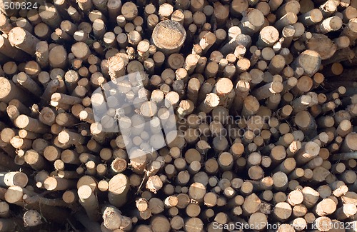 Image of Forest industry log pile