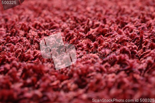 Image of Fuzzy rug