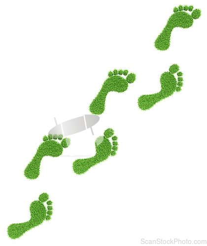 Image of Grass footprints