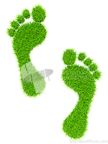 Image of Grass footprints