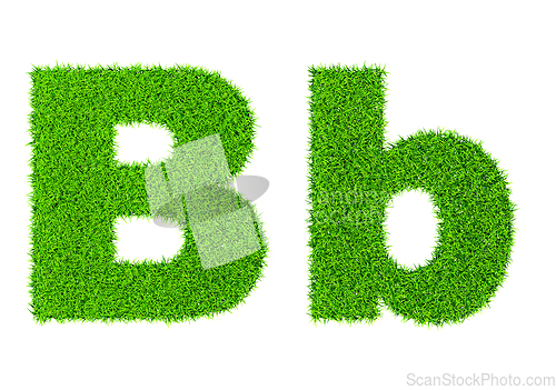 Image of Grass letter B