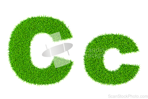 Image of Grass letter C