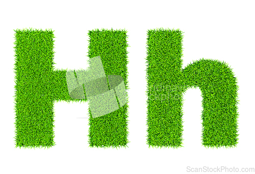 Image of Grass letter H