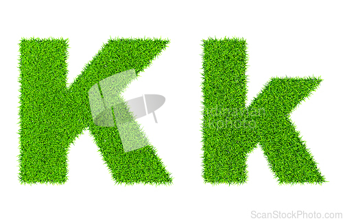 Image of Grass letter K