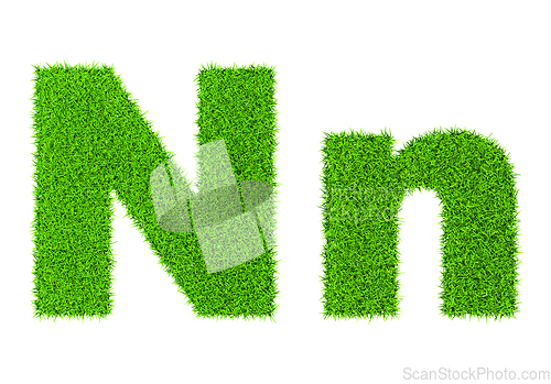 Image of Grass letter N