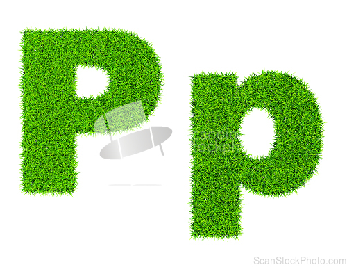 Image of Grass letter P