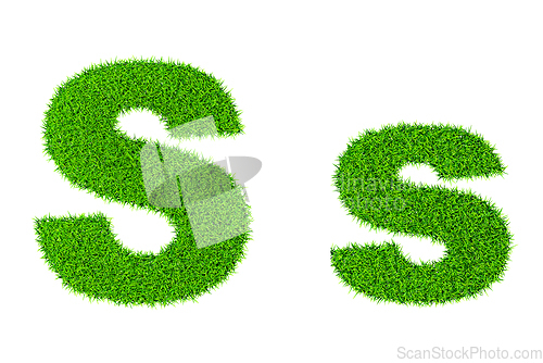 Image of Grass letter S