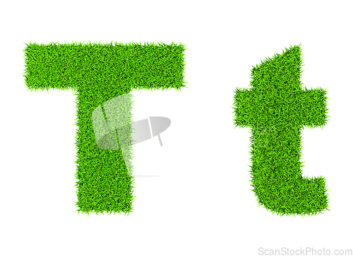 Image of Grass letter T