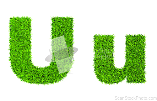 Image of Grass letter U