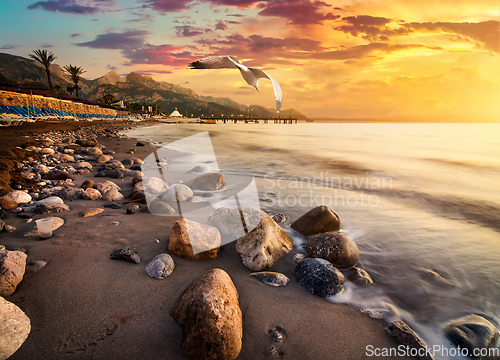 Image of Stones by the sea