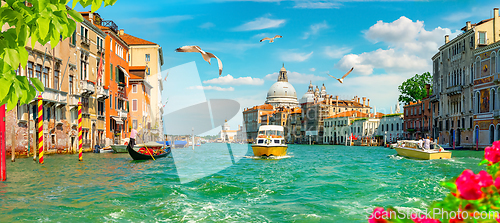 Image of Summer cityscape of Venice